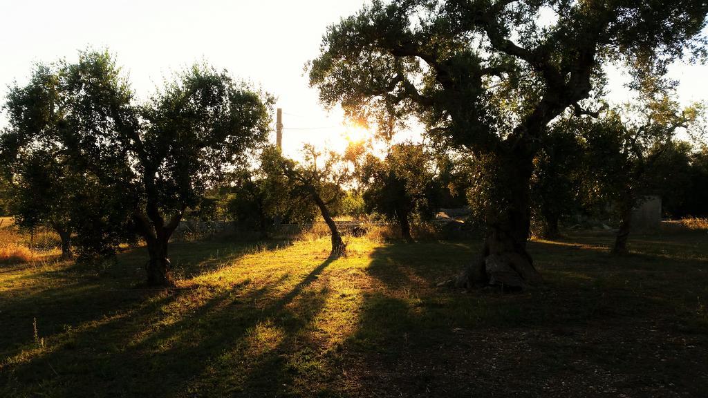 הוילה Corigliano dʼOtranto Antica Masseria Scagnito מראה חיצוני תמונה